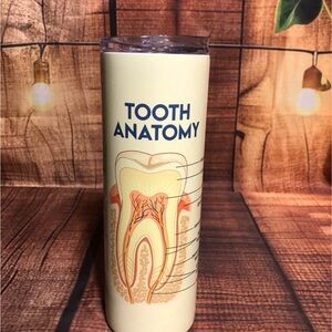 Tooth Anatomy Cream Tumbler